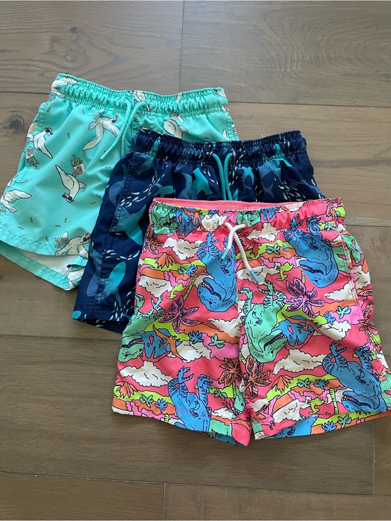 Cat & Jack Other - Bundle (3) Cat & Jack Kids Swim Shorts - Neon Dino’s, sharks, seagulls, medium